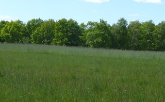 działki bolumin