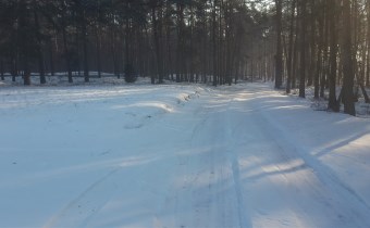 działka przyłeki